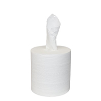 2-Ply Center Pull Paper Towels