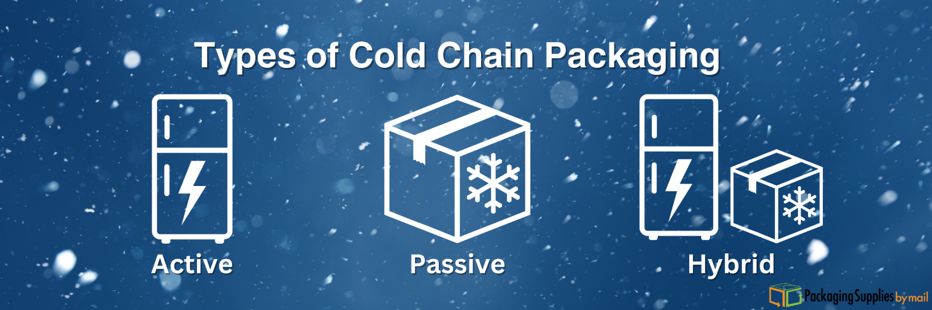 Types of Cold Chain Packaging
